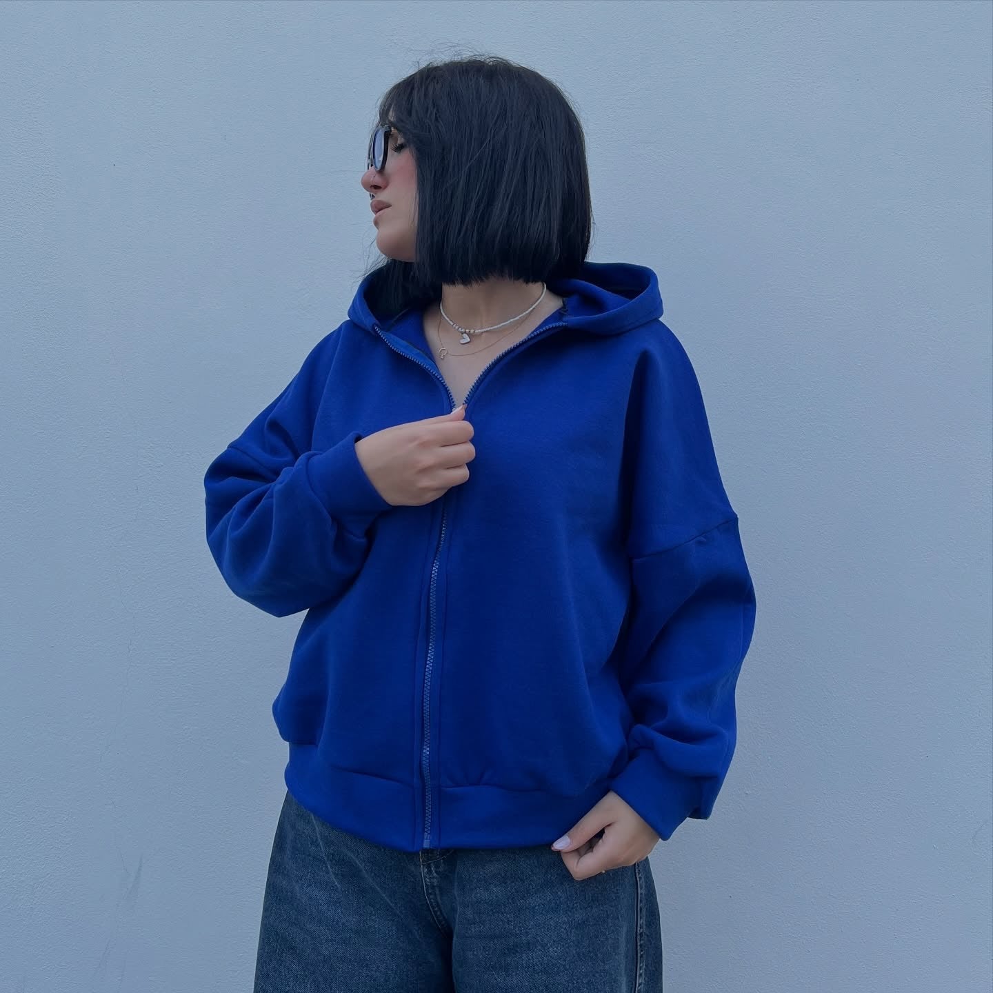 Blue ziphoodie horse